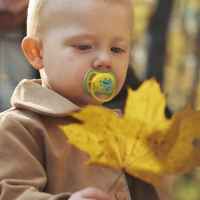 2 бр. залъгалки Philips Avent Ultra Air 18м+ маймунка и жаба, сини-26R9S.jpeg