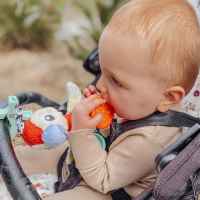 Плюшена висяща играчка Playgro, Папагалче Мио-29RCR.jpeg