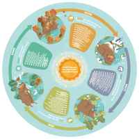 Образователен пъзел за под Hape, Четири сезона, 57.5 см, 16 части-2oP6u.jpeg