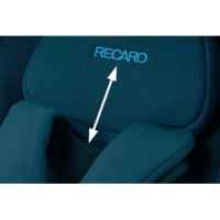 Комбинирана бебешка количка 2 в 1 Recaro Duo Sadena, Night Black -33Zra.jpeg