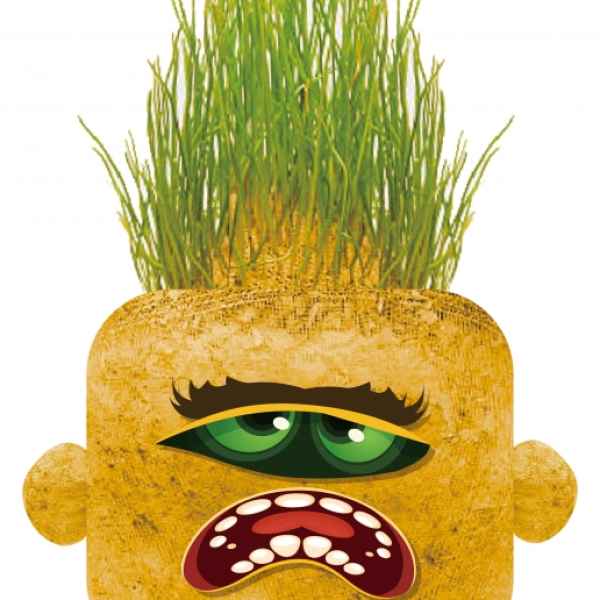 Чичко тревичко Hape, Мрачният Мери-3MVcN.jpeg