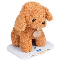 Детска дървена ветеринарна клиника Ginger Home, с аксесоари-ASNOM.jpeg