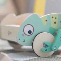 Дървен уокър Classic World Хамелеон, с дървени блокчета-FnGks.jpeg