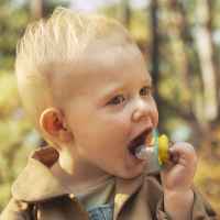 2 бр. залъгалки Philips Avent Ultra Air 18м+ маймунка и жаба, сини-Gw93e.jpeg