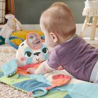 Активна гимнастика Fisher Price, панда-PHhXW.jpeg