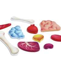 Дървен пъзел Hape, Човешко тяло, 60 части-Qi8X8.jpeg