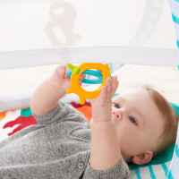 Преносима активна гимнастика Fisher Price Fold & Go-RALRE.jpeg