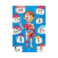 Дървен пъзел Hape, Човешко тяло, 60 части-RUM0r.jpeg