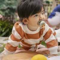 2 бр. залъгалки Philips Avent Ultra Air Night 6-18м пастелни, неутрални-Tlhgw.jpeg