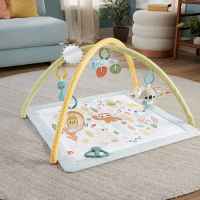 Активна гимнастика със сензорни занимания Fisher Price-Tye5m.jpeg