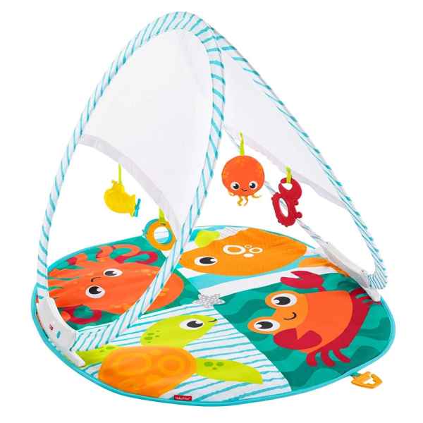 Преносима активна гимнастика Fisher Price Fold & Go-WHe5K.jpeg