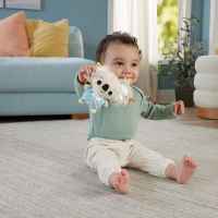 Активна гимнастика със сензорни занимания Fisher Price-Wu575.jpeg