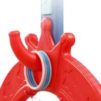 Интерактивен баскетболен кош 6 в 1 Feelkids, червен-ZYCte.jpeg