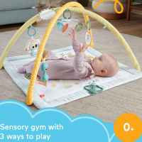 Активна гимнастика със сензорни занимания Fisher Price-bQbcV.jpeg