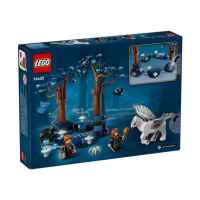 Конструктор LEGO Harry Potter - Забранената гора, магически създания-coN1j.jpeg