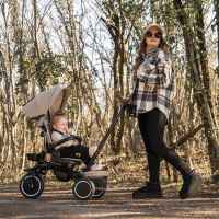 Сгъваема триколка Lorelli Freccia с ротация 360, Grey-dvhRQ.jpeg