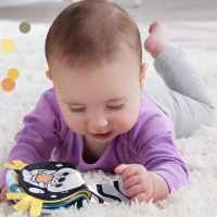 Плюшена сензорна играчка видра 2 в 1 Fisher Price, за игра по корем-eCJAb.jpeg