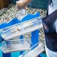 Дървена сензорна маса за игра с вода Classic World Educational-eu1DB.jpeg