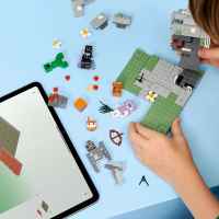 Конструктор LEGO Minecraft, Безцветната градина-gpWSc.jpeg