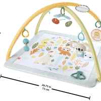 Активна гимнастика Fisher Price-kwofk.jpeg