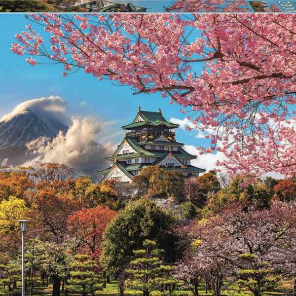 Пъзел Educa, Замък в Осака, Япония, 2000 части-lvRgg.jpeg