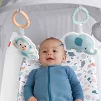 Бебешко сгъваемо кошче/люлка Fisher Price-rH9xg.jpeg