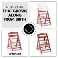 Дървено столче за хранене Hauck Alpha+, Cork-sgBP3.jpeg