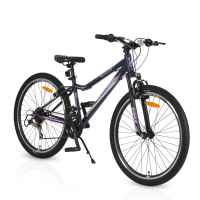 Велосипед Byox 26“ Avenue, violet-tj1Wl.jpeg
