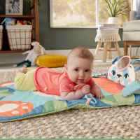 Активна гимнастика Fisher Price, панда-vmbb2.jpeg