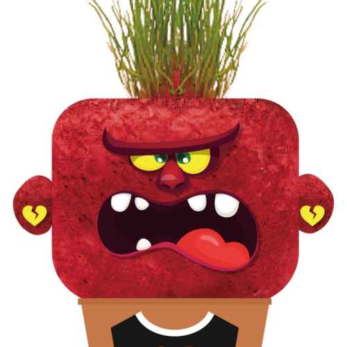 Чичко тревичко Hape, Ядосаната Ан