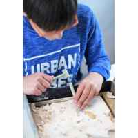 Игрален комплект Buki France, Тиранозавър Рекс и Велоцираптор-1UTww.jpeg