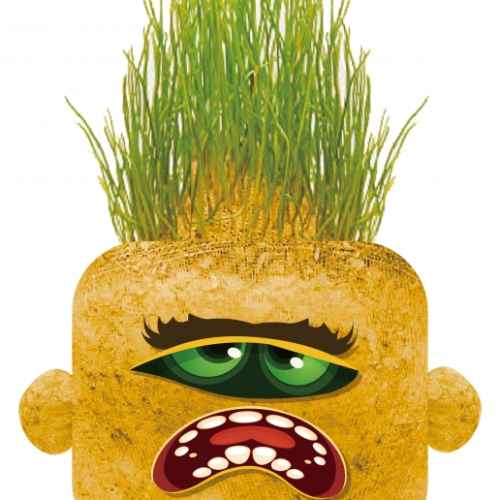 Чичко тревичко Hape, Мрачният Мери