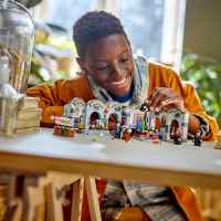 Конструктор LEGO Harry Potter, Замъкът Хогуортс: Час по отвари-71Kea.jpeg