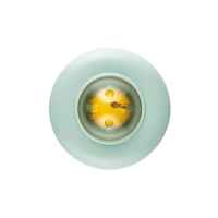 Сензорна дрънкалка с чесалка Canpol, зелена-84ziC.jpeg