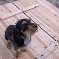 Голям детски пясъчник Ginger Home, с пейки и сгъваем капак 157x157x21см-8JLKz.jpeg