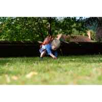 Детска раница с повод LittleLife, Динозавър-8s1ry.jpg