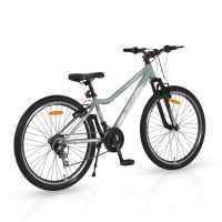 Велосипед Byox 26“ Avenue, grey-BJWLd.jpeg