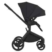 Комбинирана бебешка количка 3в1 Anex Flo, Lungo-Bkr26.jpeg