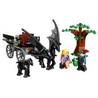 Конструктор LEGO Harry Potter Hogwarts Carriage & Thestrals Хогуортс: каляска и тестрали-DKgDv.jpg