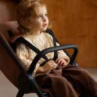 Бебешка количка Anex IQ Basic New /all in one/, Nyx-DpTdl.jpeg