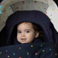 Бебешка комбинирана количка  2в1 Cosatto Wow 3, Meadow-EE9P5.jpeg