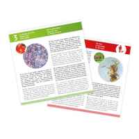 Комплект предметни стъкла с проби за микроскоп, Buki France, 20 броя-EJKGe.jpeg