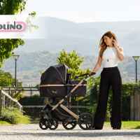 Комбинирана бебешка количка 2в1 Chipolino Аморе, фламинго-FfssC.jpeg