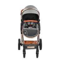 Комбинирана бебешка количка Moni Alma, тъмносива-FrgGB.jpg
