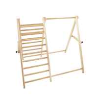 Дървена стълба за катерене и люлка Chipolino-GvSI7.jpeg