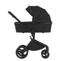 Комбинирана бебешка количка 3в1 Anex Flo, Lungo-H60mf.jpeg