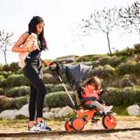 Триколка Lorelli LUCKY CREW, Grey&Green -HTszB.jpeg