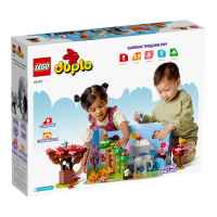 Конструктор LEGO Duplo Дивите животни на Азия-HgGP3.jpg