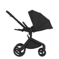 Комбинирана бебешка количка 3в1 Anex Flo, Lungo-JxeEo.jpeg