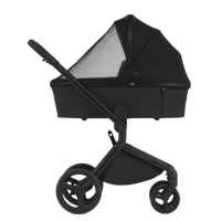 Комбинирана бебешка количка 3в1 Anex Flo, Lungo-LADbW.jpeg